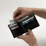 Aldo Wallet